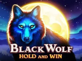 Black Wolf game cover
